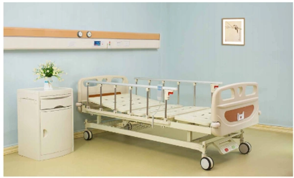 Vin Win   2 Function Electric Bed